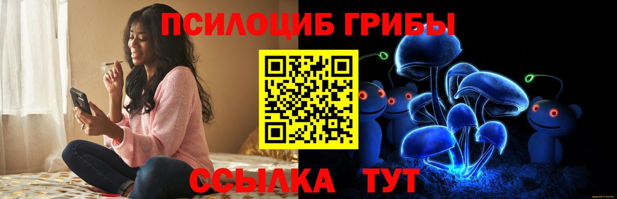 Химки  Галлюциногенные грибы мицелий  Вход с VPN 