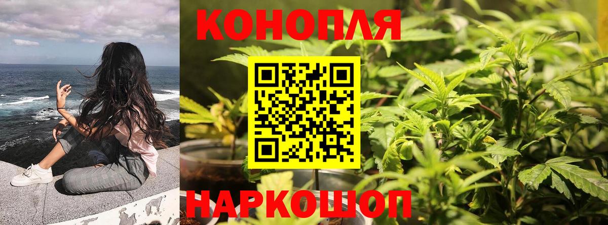 Шишки марихуана планчик  Вход с VPN  Канабис Amnesia  Бошки марихуана ГИДРОПОН  Химки  Конопля гибрид 